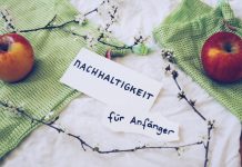 Nachhaltigkeit und Umweltschutz: Tipps für einfache Veränderungen